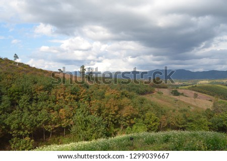 The Sky line,Cloud,forest,Mountain View On Winter Season at Northern Of Thailand,January 2019