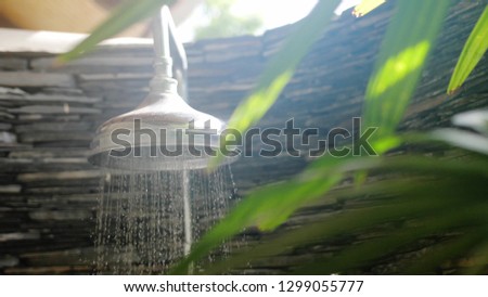 Summer shower head water spray in beautiful bathroom with tropical plants on sunny day