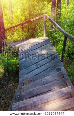 Old wooden path on the descent from the mountain through the forest. Warm summer day