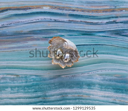 decorative seashell with pearls on the sea background