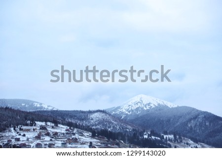 Winter landscape with mountain village near conifer forest