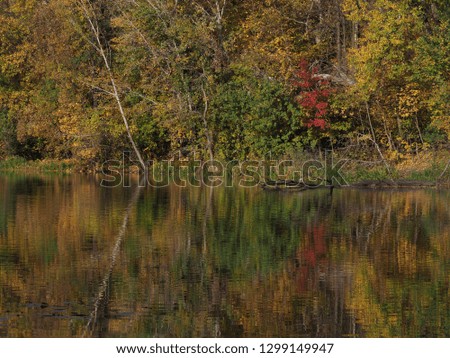 Picturesque landscapes of trees and river with water reflection at royal Wilanow park in european Warsaw capital city of Poland in 2018 warm sunny autumn day on October.