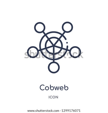 Linear cobweb icon from Infographics outline collection. Thin line cobweb icon isolated on white background. cobweb trendy illustration