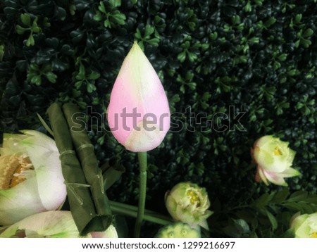Artificial Lotus Flowers Decoration