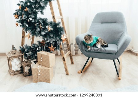 A striped cat, dressed in a green sweater, falls on a chair near a Christmas tree.