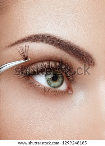 Female Eye with Extreme Long False Eyelashes. Eyelash Extensions. Makeup, Cosmetics, Beauty. Close up, Macro Royalty-Free Stock Photo #1299248185