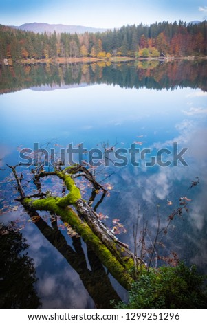 View over lake Laghi di Fusine near Tarvisio in Italy on a sunny morning in autumn with a branch in the water