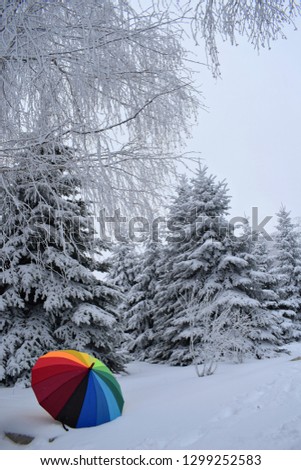 Colored umbrella among the snow-covered landscape. 