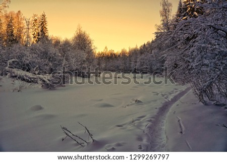Footpath in snowy landscape