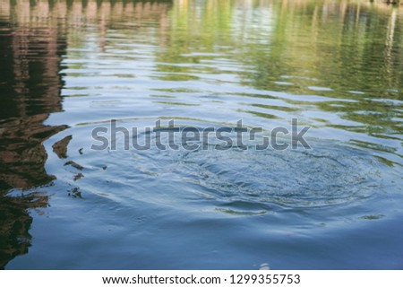 Feeding fish in water