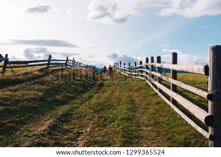 Two persons wandering in the woods and the Carpathian mountains 