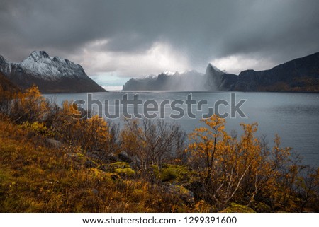 Lofoten landscape in autumn 