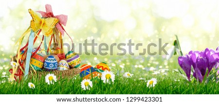 colored easter eggs in the basket on the green meadow with blooming daisies