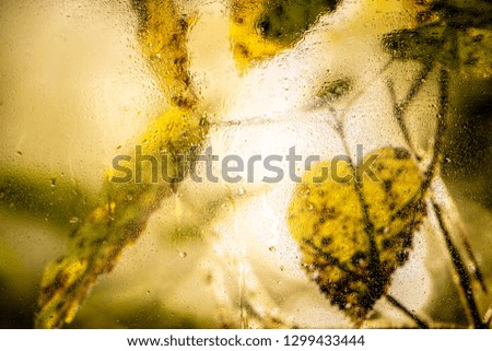Water droplets on a window pane with beautiful defocused scenery outside. Background