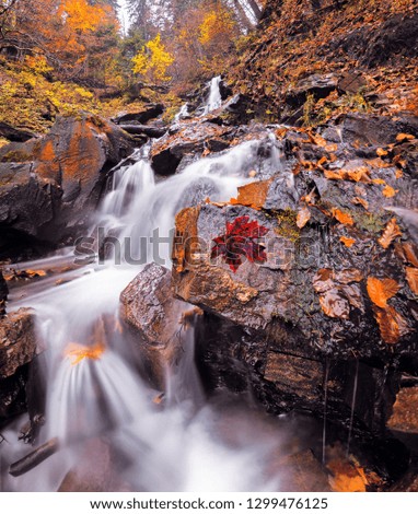 waterfall at the autumn forest