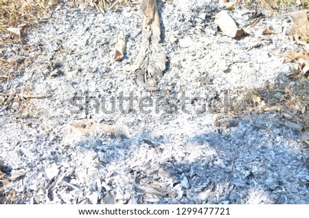 Ashes left after paper, trash and leaves being piled up and burned outdoor, dusts, ashes and even smokes can also cause health problem 
