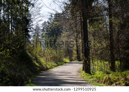 Landscape picture from the national park in Bavaria