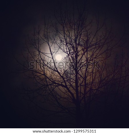 Moonlight at night