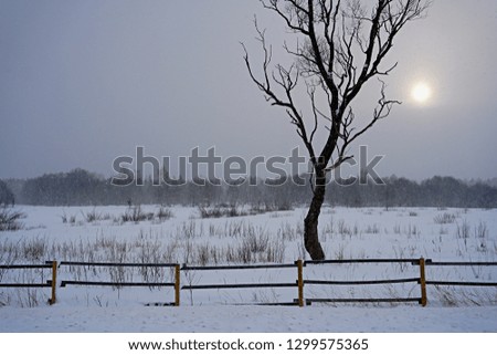 Winter landscape with snowfall, sun, tree silhouette and wooden fence in the foreground