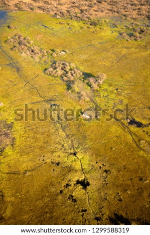 Aerial view of the Okavango Delta, Botswana. The vast inland delta is formed from the Okavango River. This flows into the Delta , creating a beautiful mosaic of water channels, grasslands and forests.