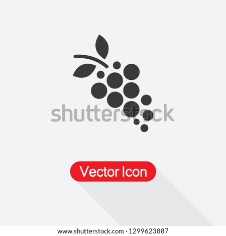 Grape Icon, Fruit Symbol Icon Vector Illustration Eps10