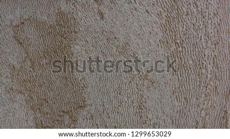 Wood bark background texture