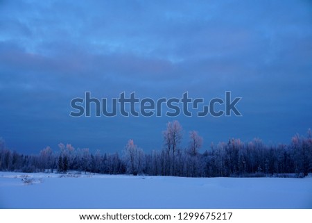 Beautiful winter landscape in the sunrise with a frosen trees. 