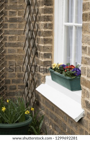 Vertical Image: Spring Outside of House. Concept: Springtime.
