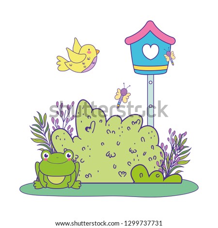 cute toad in the landscape with birdhouse