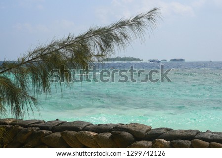 The coast on a tropical island in the Indian Ocean, in the distance is a tropical island, the Maldives.