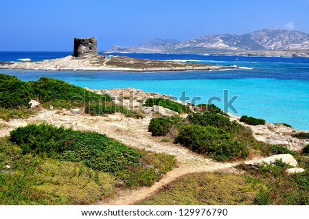 View of La Pelosa beach, characterized by the transparency of its waters and the whiteness of its sand, is considered one of the most beautiful beaches in Sardinia, Italy Royalty-Free Stock Photo #129976790