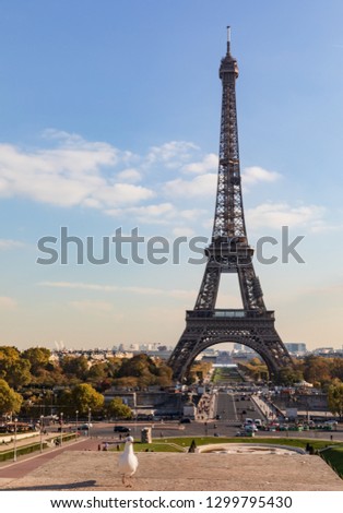 View of the Eiffel Tower from the Trocadero. Parisians and tourists enjoy a sunny autumn day. Pigeons on the foreground