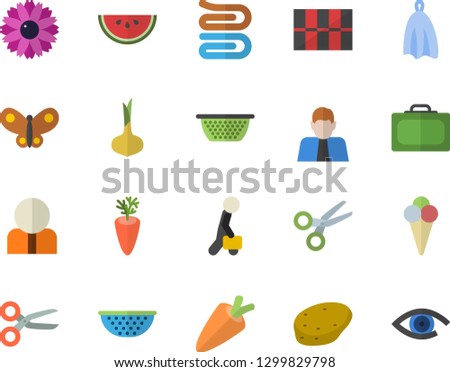 Color flat icon set tile flat vector, colander, towel, potato, onion, carrot, watermelon, ice cream, flower, butterflies, person, businessman, suitcase fector, scissors, eye