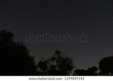Beautiful starry night sky with trees in the foreground, seen from Australia