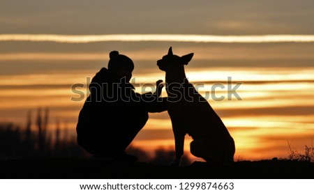 The boy and dog malinois on the background of a beautiful sunset