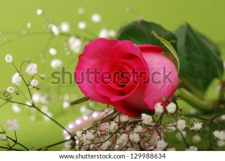 Bouquet beautiful pink rose and pearl necklace over green background
