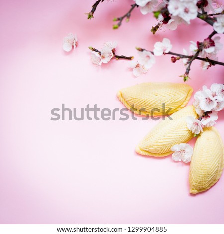 Novruz traditional Azerbaijan pastry shekerbura and pakhlava, beautiful tiny apricot or cherry blossoms for spring equinox celebration on pink background, flat lay top view copy space for text
