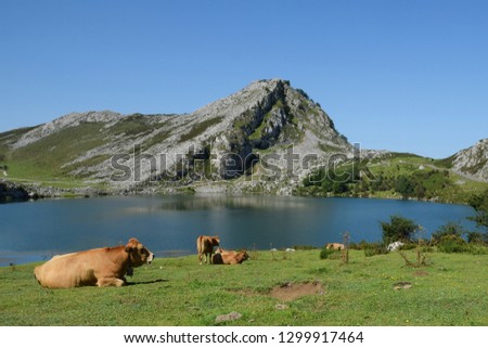 beautiful landscapes europe peaks Royalty-Free Stock Photo #1299917464