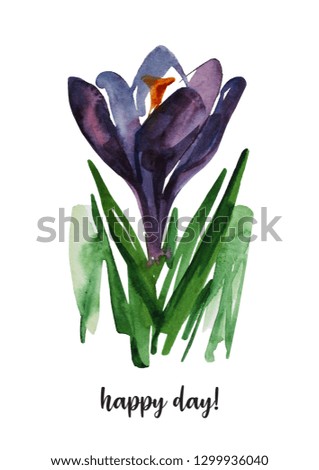 Crocus. illustration flowers. Spring blossoms watercolor painting on white background. Mother's Day, wedding, birthday, Easter, Valentine's Day. Floral poster.