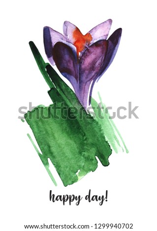 Crocus. illustration flowers. Spring blossoms watercolor painting on white background. Mother's Day, wedding, birthday, Easter, Valentine's Day. Floral poster.