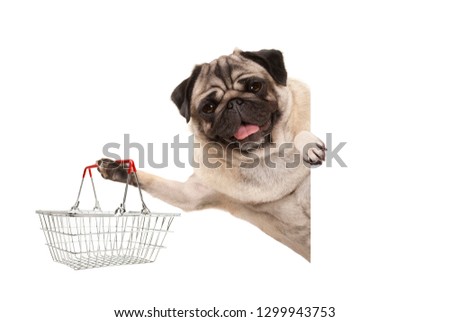 happy smiling pug puppy dog, holding up wire metal shopping basket,behind white banner, isolated