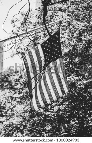 American Flag in Black and white
