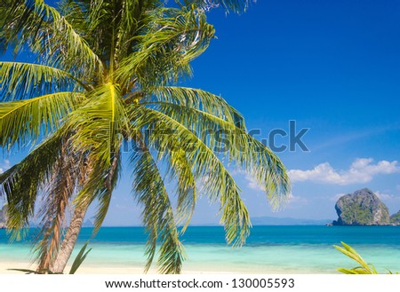 Green Getaway Palm View