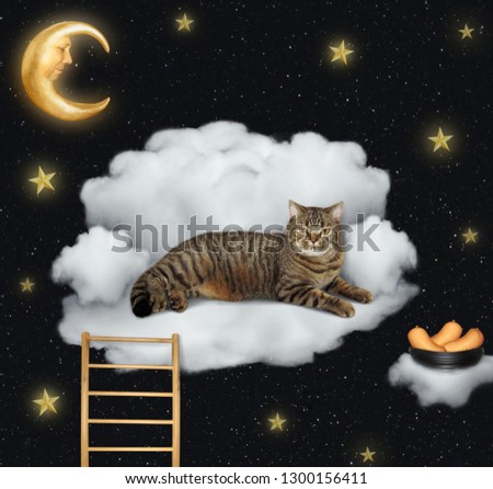The funny cat is lying on the cloud like a couch. A bowl of sausages is next to it. Stars background.