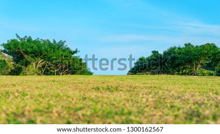 green field with tree in blue sky.