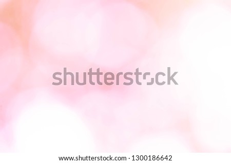 rose abstract bokeh lights defocused background