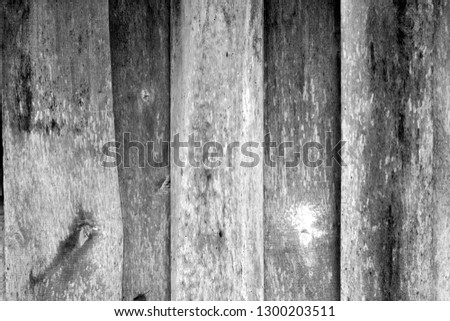Wooden wall texture in black and white. Abstract background and texture for design.