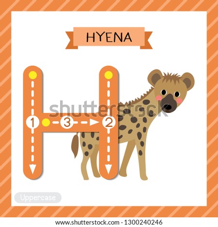 Letter H uppercase cute children colorful zoo and animals ABC alphabet tracing flashcard of Hyena for kids learning English vocabulary and handwriting vector illustration.