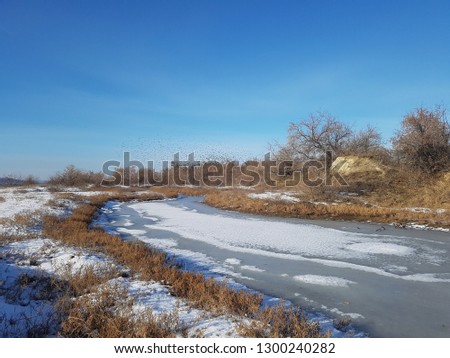 Winter landscape of one day: frozen pond, dry brown grass covered with snow, bare trees and blue sky.