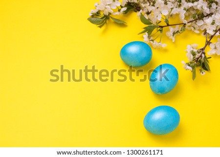 Cherry Blossom Branch and Easter Blue Eggs on the Yellow Background.